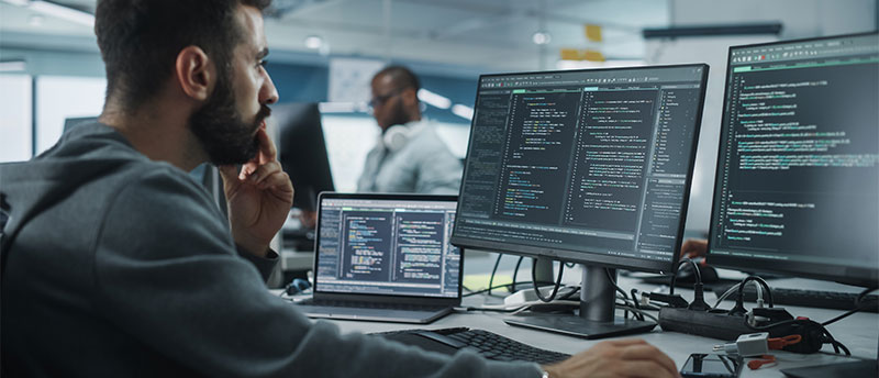 Capabilities bespoke software development