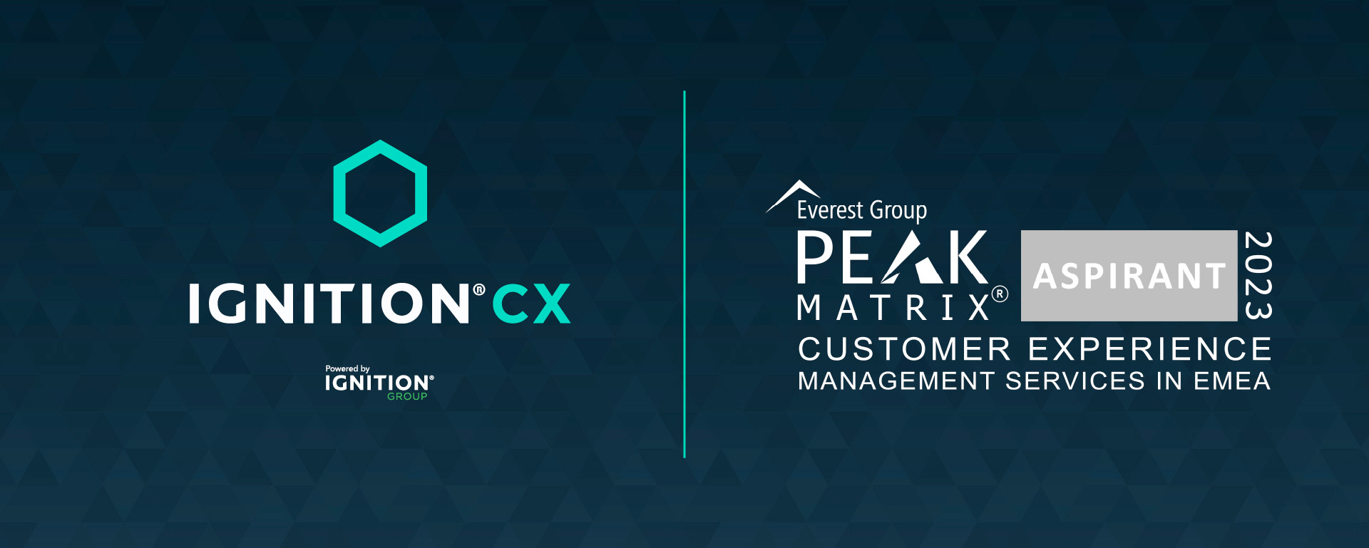 Everest Group CX Report